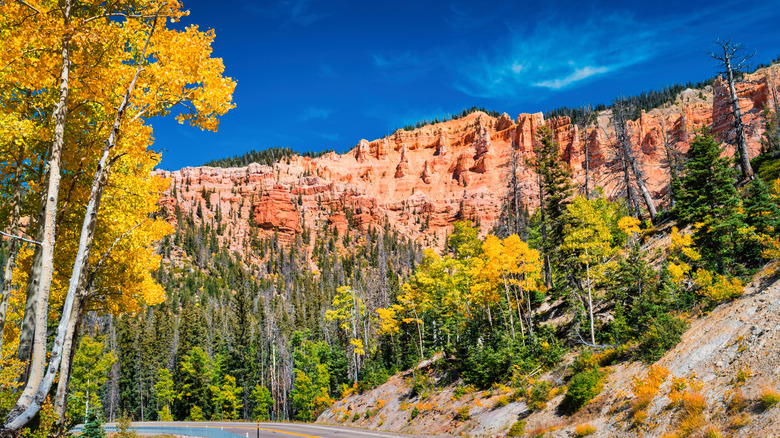 Shot of Cedar Breaks National Monument