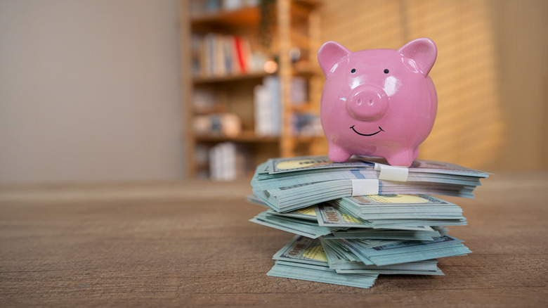 piggy bank standing on pile of cash