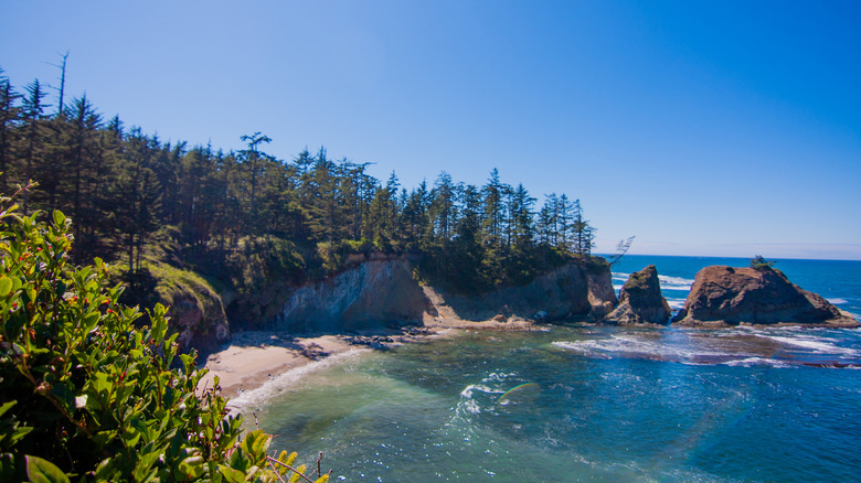 A view of curved, wooded coastline near Coos Bay, Oregon