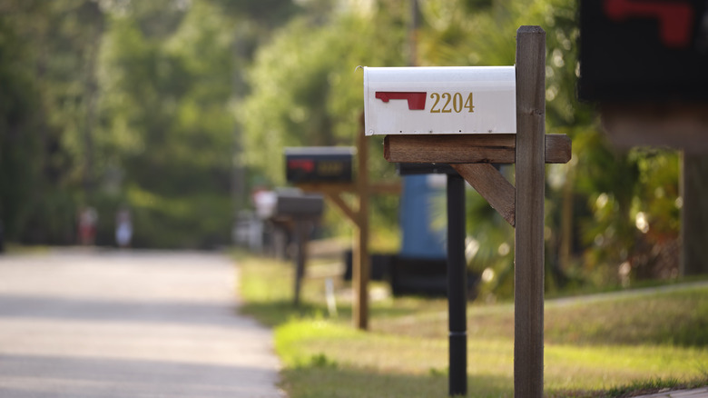 A white mailbox with the number 2204 is in focus, others in the line are blurred