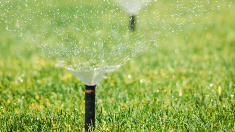 sprinklers in the yard
