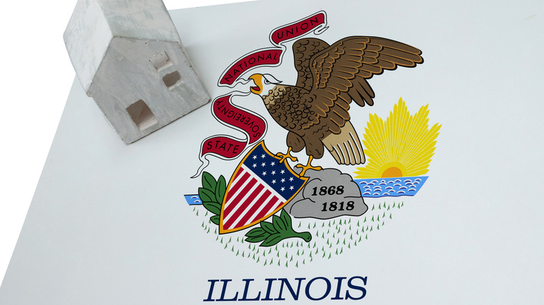 house with Illinois flag