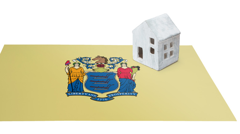 house with New Jersey flag