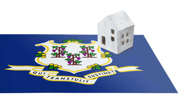 house with Connecticut flag