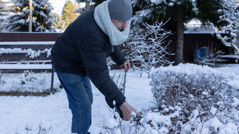older homeowner taking care of yard in the snow