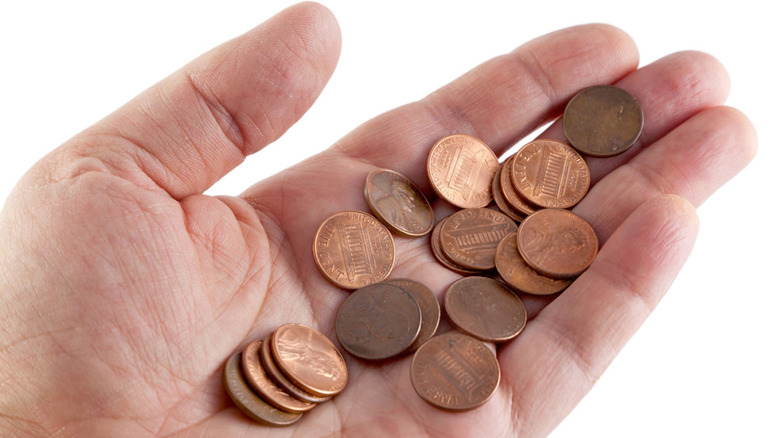 Pennies That Are Worth a Ton of Money