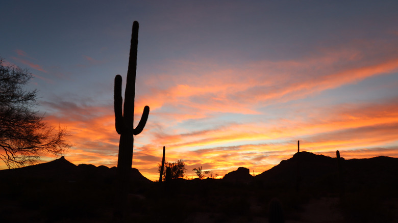 Shot of the desert near Phoenix, Arizona at dusk