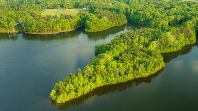 Aerial view of a large body of water surrounded by green trees and fields