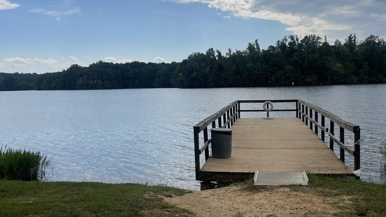 A secluded wooden pier jutting into Lake Reidsville with a thick treeline visible across the water