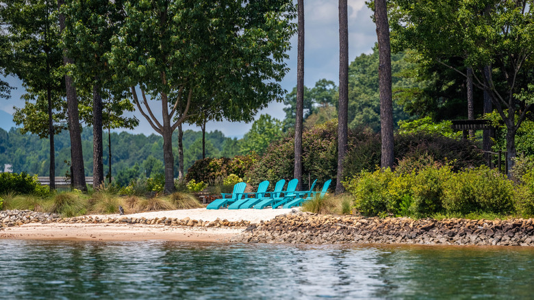 Row of bright blue pool chairs arranged beside a lake