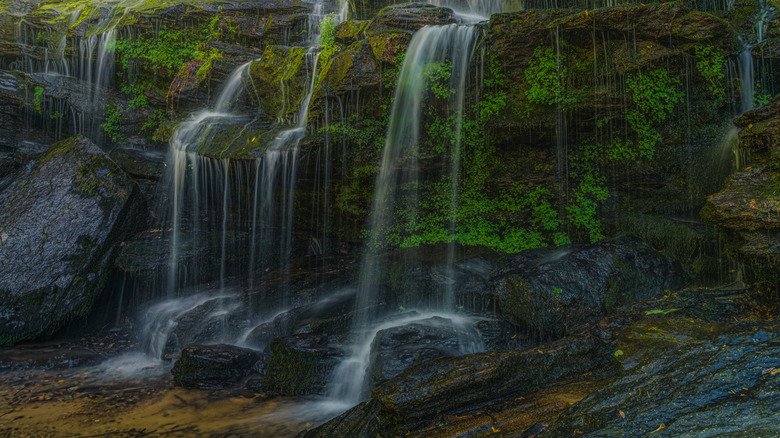 Waterfalls near Sumter, South Carolina