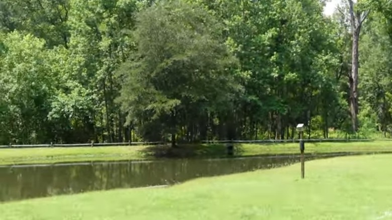 The Walterboro Wildlife Sanctuary