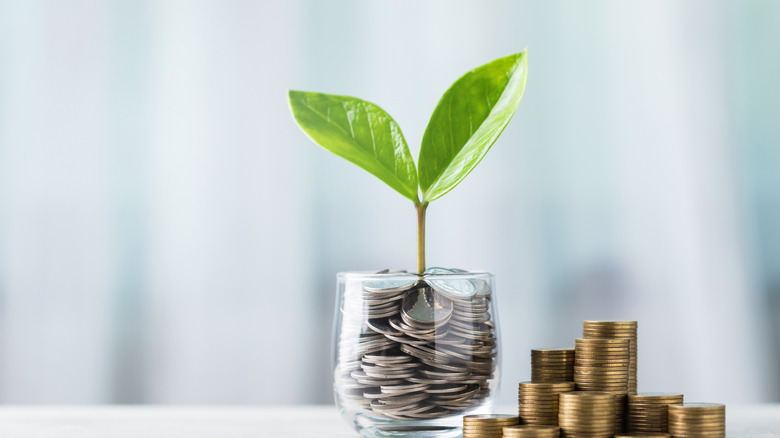 Glass jar filled with coins and a small seedling in the center, with stacks of coins arranged from smallest to largest on a table.