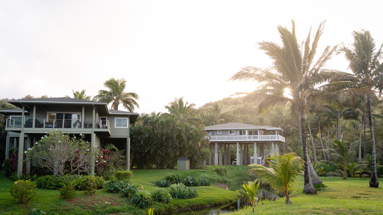 Houses or vacation homes by the sea raised up on pillars to avoid flooding due to climate and weather changes in Hawaii.