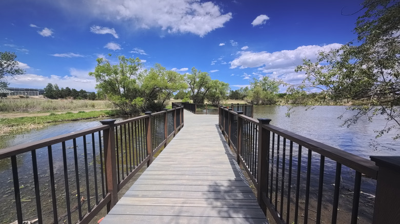 A wooden boardwalk over a lake in Heritage Lakewood Belmar Park in Lakewood, Colorado.