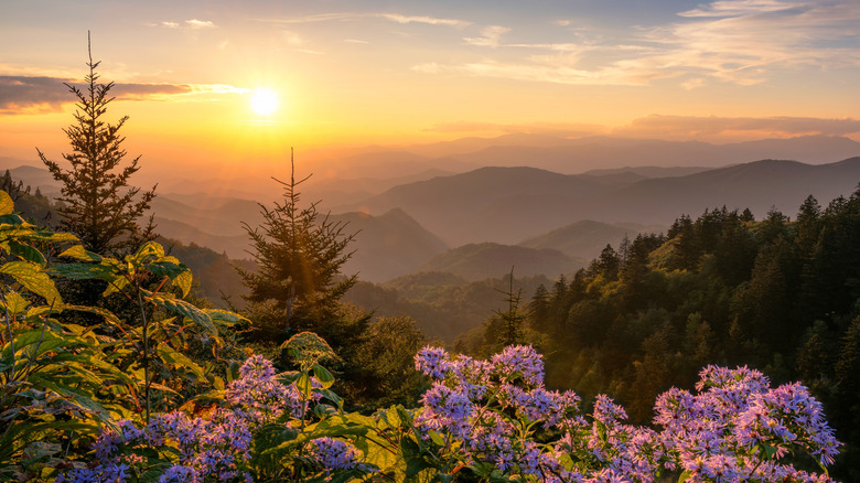 Smoky Mountain portion of Appalachian Mountains at sunset