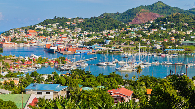 overhead view of a busy recreational port in St. George's with volcanic hill in background