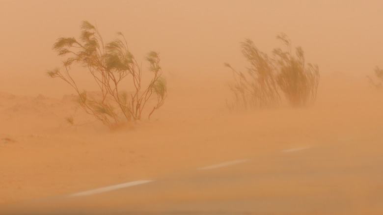 Dust storm blowing through a desert