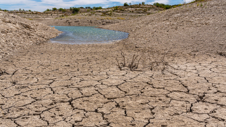 Dried up riverbed during long drought in the southwestern United States.