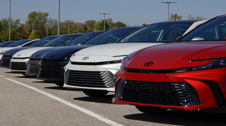 A row of Toyota Camry models on display at a dealership.