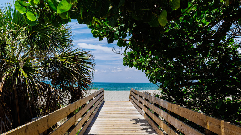 A wooden boardwalk leading to a beach