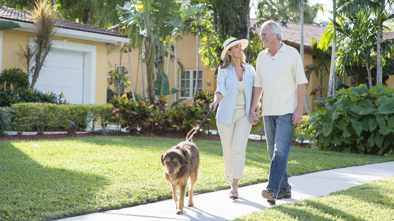 Older couple walking a dog in a tropical neighborhood
