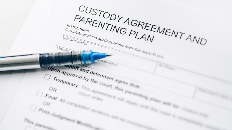 Custody agreement and parenting plan agreement