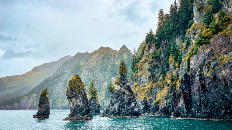 Kenai Fjords National Park near Seward, Alaska