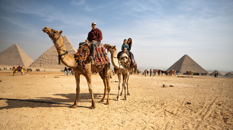 Family posing on camels in front of Egyptian pyramids
