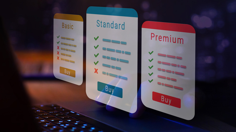 Computer screen with basic, standard, and premium subscription options