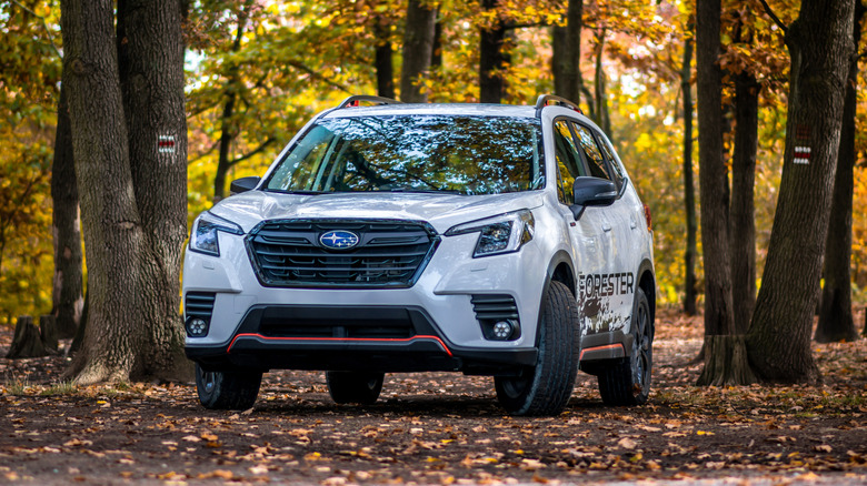 White SUV Subaru Forester in autumn in a forest full of colorful leaves.