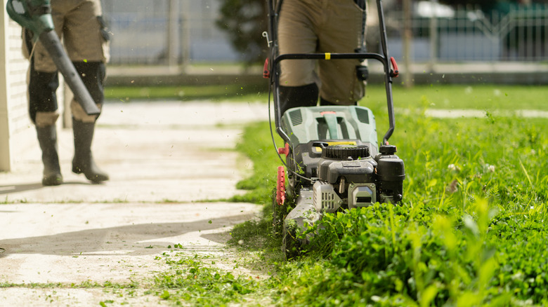 lawn care professionals mowing a lawn