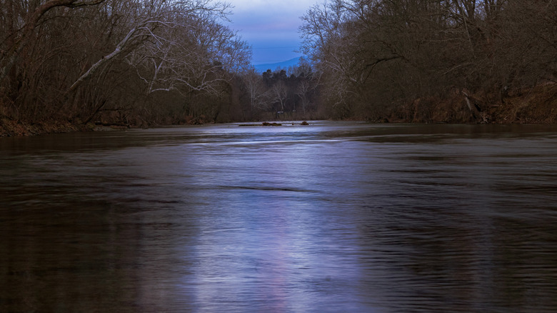 A beautiful early sunrise view of a tree-surrounded river in Seven Bends State Park.
