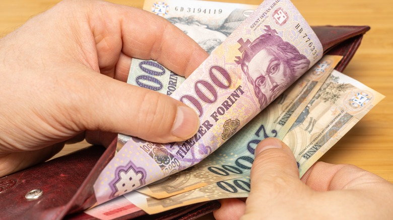 Hungarian Forint currency in wallet.