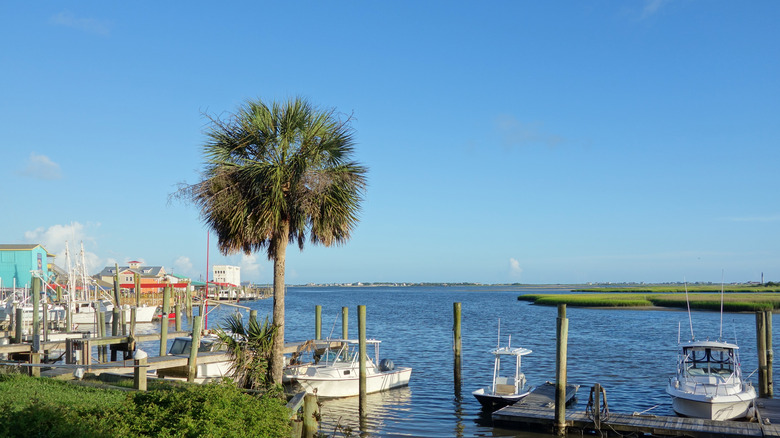 Coastline off of Southport, NC with palm trees, boats, and waterfront