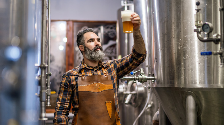 Bearded brewery master holding glass of beer and evaluating its visual characteristics.