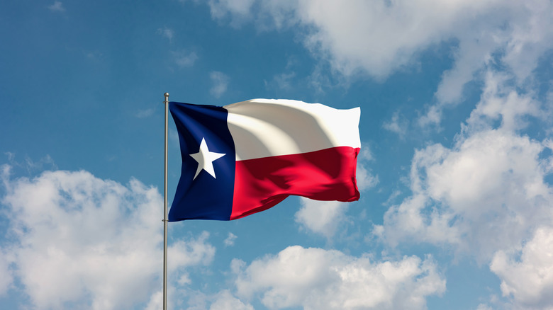 Texas state flag