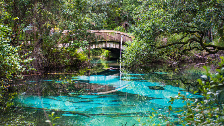 Natural spring in Silver Spring State Park near Ocala.