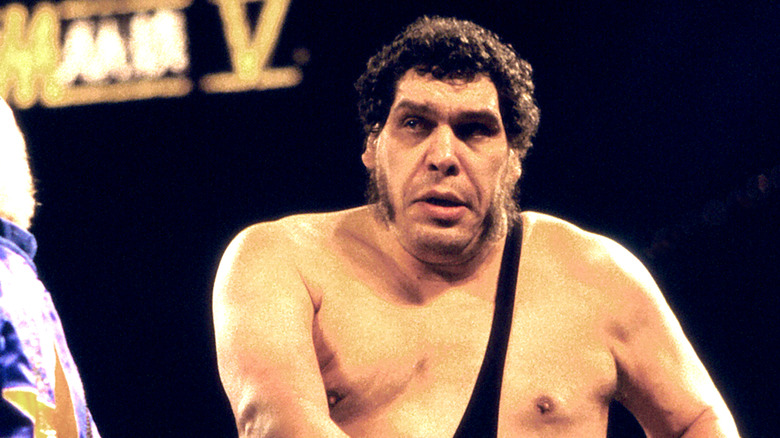Andre the Giant in the wresting ring