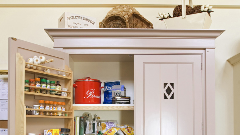 Kitchen pantry cabinet with spices and other items on shelves