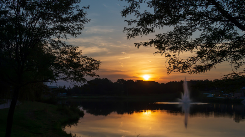 Sunrise over a pond.
