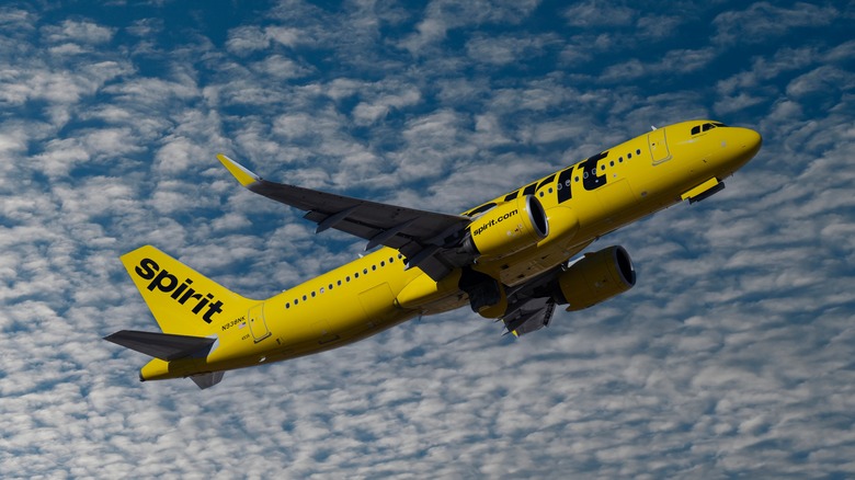 Spirit airplane in flight