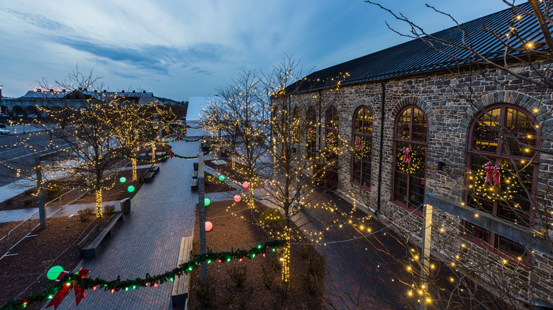 A tree-filled street covered with holiday light decorations