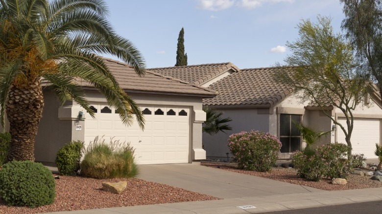 A residential street in the Phoenix, Arizona area near Youngtown.