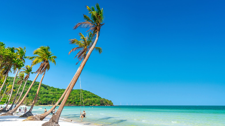 Phú Quốc beach with trees and blue waters