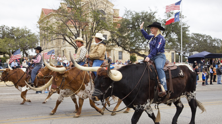 People riding on bulls during a parade in Bandera