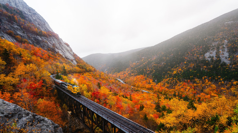 aerial view of a train in New Hampshire