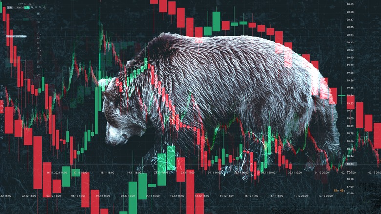 a bear market