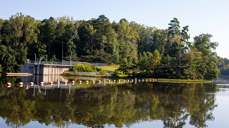 A A bright summer September day located outside at the Salem Lake Trail in Winston Salem North Carolina