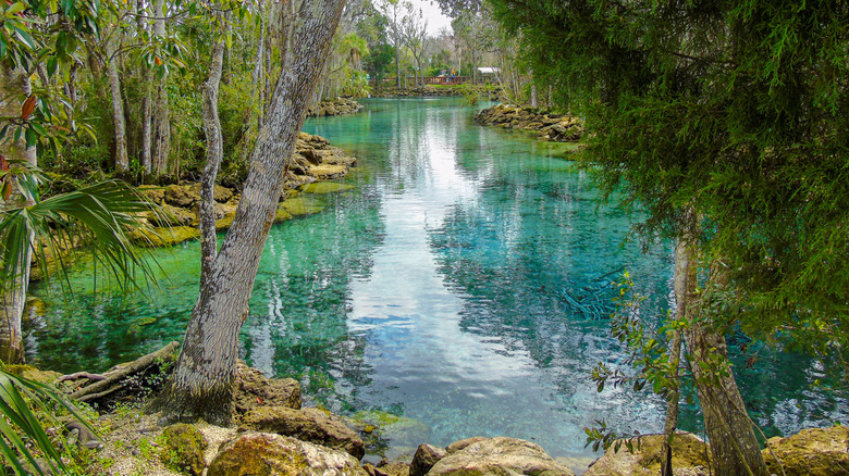Three Sisters Springs in Crystal River, Florida